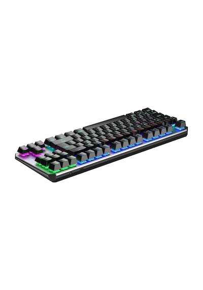 Aula F2067 TKL RGB Makrolu Kablolu Mekanik Oyuncu Klavyesi