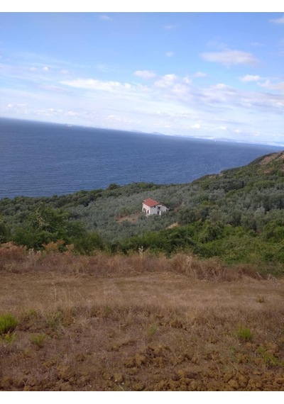 Barrıer Borlu Kaolin