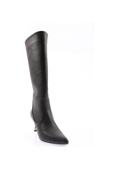 Dgn K110-22k Kadin Sivri Burun İnce Topuklu Çizme K110-1710-R1534 Siyah