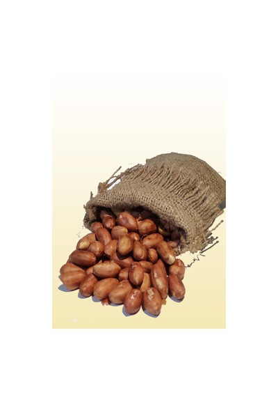 Yer Fıstığı Kavrulmuş Tuzsuz 500 G Yer Fıstığı Kavrulmuş Tuzsuz 500 G