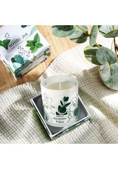 Kokulu Mum - Okaliptüs Ve Nane - 6oz Aromaterapi Soya Balmumu Kavanoz Mum Ev İçin, Kadınlar İçin Hediyeler - 170g Diğer