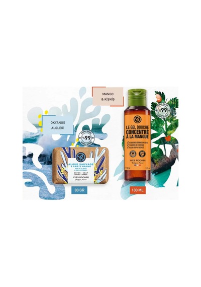 Canlandırıcı Mango Kişniş & Serinletici Okyanus Duş Seti - Duş Jeli 100ml + Katı Sabun 80 Gr Diğer