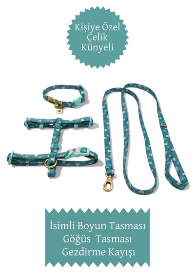 İsimli Kedi Tasması, Kedi Tasma Seti, Kedi Göğüs Tasması Mv