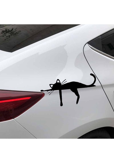 Araba Tamponunda uyuyan Kedi Komik Siyah Renk Sticker
