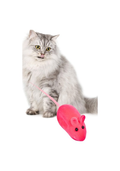 Kedi Eğitim Oyun Faresi Sesli 2 Adet Kedi Egzersiz Oyuncağı