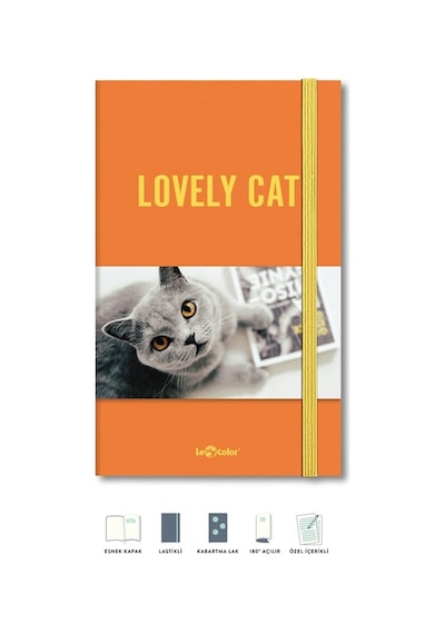 Kedi Dünyası Journal Düz
