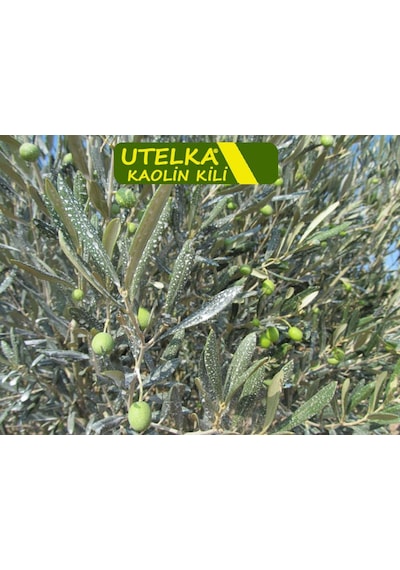 Bitki Koruyucu Kaolin Kili 5 Kilogram