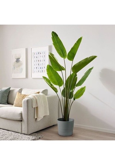 Ikea Fejka Yapay Bitki, Yeşil, 23 Cm, İç/dış Mekan Cennet Kuşu