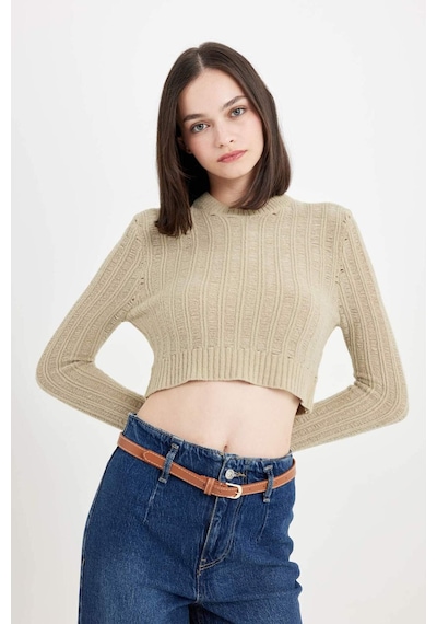 DeFacto Regular Fit Crop Bisiklet Yaka Örgü Delikli Triko Kazak C6321AX24WNGN270 Yeşil