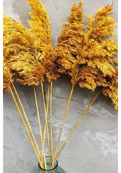 8'li Büyük Demet Pampas Sarı 100cm