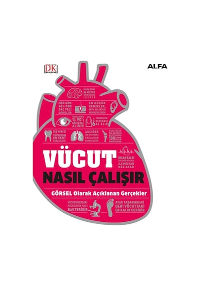 Vücut Nasıl Çalışır?- Alfa Yayıncılık
