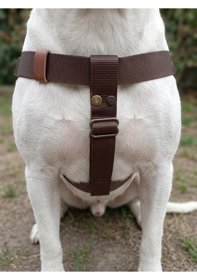 Tr Köpek Göğüs Tasması Ayarlanabilir Küçük & Orta Ve Büyük Irk Kolon Kordon Kahverengi