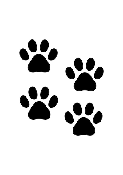 Kedi Pati İzi Oto Sticker Siyah 8 Adet 15 15 Cm
