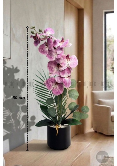 Yapay Phalaenopsi S Mor Beyaz Orki De 60 Cm Siyah