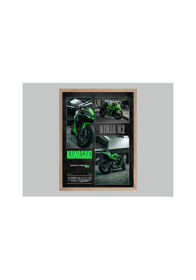 Kawasaki Ninja Doğal Ahşap Çerçeveli Tek Parça Dekoratif Tablo Çok Renkli - 818969945 Çok Renkli