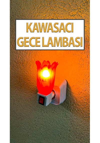 Nostaljik Gece Lambası Kendinden Fişli Çıt Çıt Anahtarlı 7 Watt Ampullü Çiçek Model Kırmızı