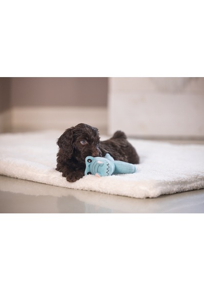 Hnrlıshp Beeztees Köpek Oyuncağı, Peluş, Turkuaz, 16x18x8,5cm