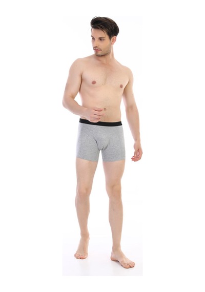 Çift Kaplan Erkek Elastanlı Gri Boxer 889 Gri