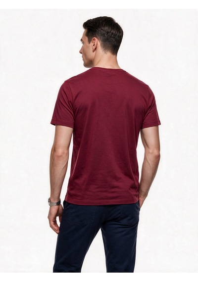 İntersivin Erkek T-shirt T-05 Bordo