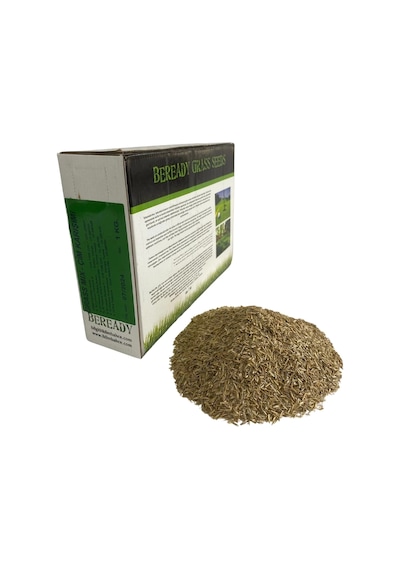 Beready 6 Karışımlı Çim Tohumu 1 Kg