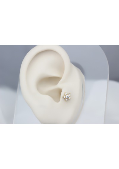 Glorria Altın Yıldız Tragus Piercing 20810060
