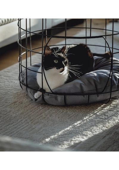 Beyaz Çok Amaçlı Kedi Yuvalı Metal Sepetli 2 Li Orta Sehpa