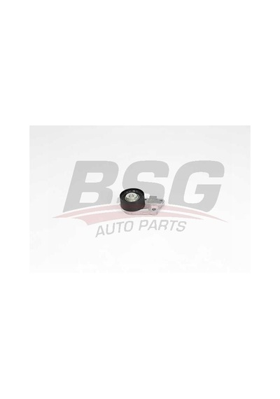 Chevrolet Cruze 2009-2013 Arası 1.6 Bsg Marka Triger Gergi Rulmanı