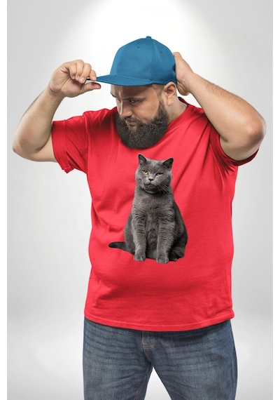 Angemiel British Shorthair Kedi Kırmızı Büyük Beden Erkek Kadın Unisex Basic Ön Baskılı Tişört Kırmızı