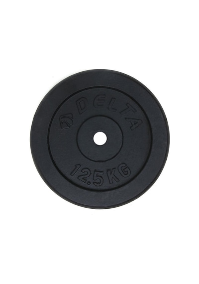Delta 12,5 Kg X 2 Adet Siyah Döküm Plaka Çiftli Ağırlık Flanş