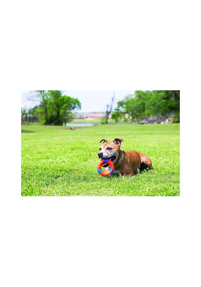 Ultra Ring Köpek Oyun Halkası