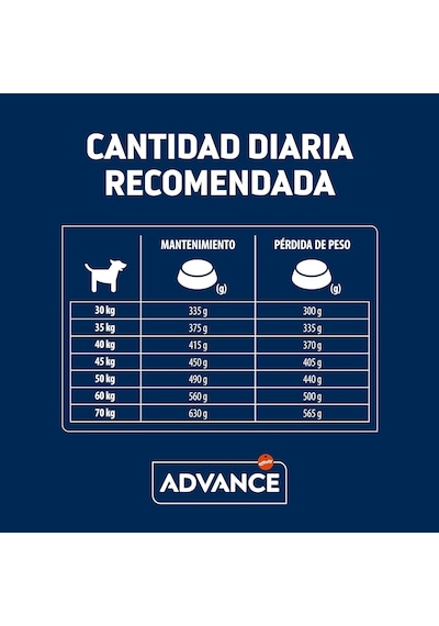 Maxi Light Tavuklu Büyük Irk Yetişkin Köpek Kuru Maması 12 Kg