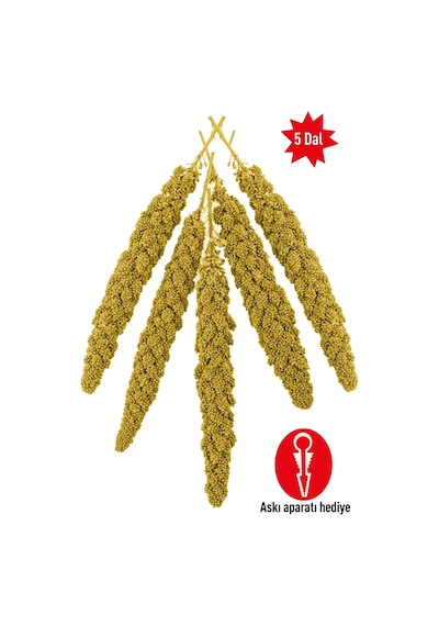 Dal Darı Açık Paket 5 Dal