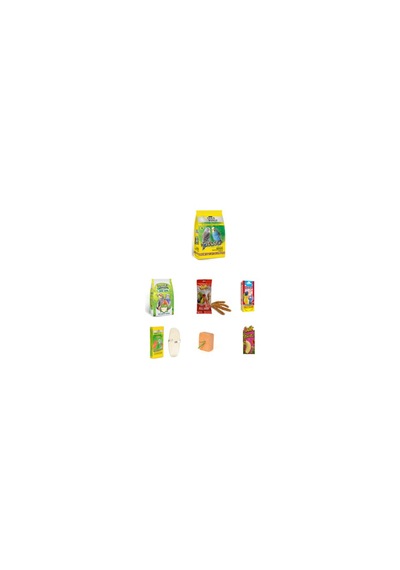 Purecanpati Goldwings Classic Budgies Muhabbet Kuşu Yem Set