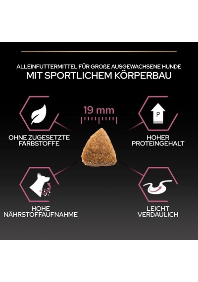 Large Athletic Adult Somonlu Köpek Maması 14 Kg