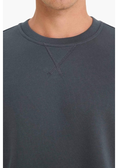 Defacto Regular Fit Bisiklet Yaka Basic Düz Kalın Sweatshirt T3777az25auar184 Antrasit