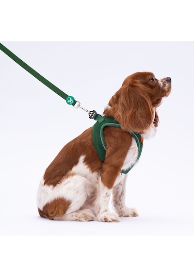 Pawstar L08 Çam Yeşili Sevk Kayışı Yeşil