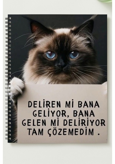 Manidar Kedi A5 Metal Spiralli Çizgisiz Karton Kapak Manidar Kedi Defter Çok Renkli