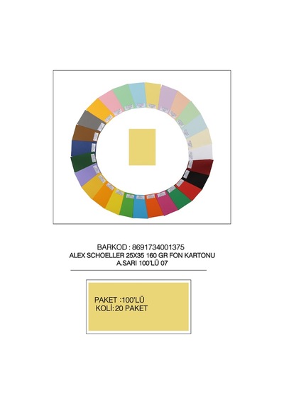 Alex Schoeller Fon Kartonu 25x35 No:07 A.sarı 100 Lü Çok Renkli
