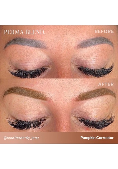 Perma Blend Pumpkin Corrector Kalıcı Makyaj Kaş Corrector Pigmenti 15ml