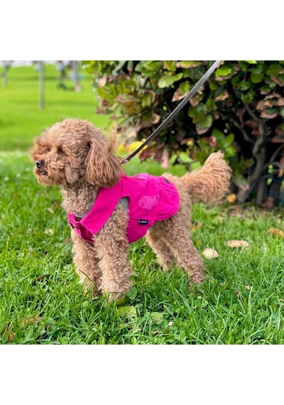 Yeni - Fuşya Renk Kot Köpek Yeleği - Küçük Irklar İçin Şık Ve Rah