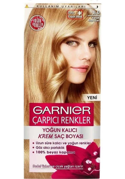 Çarpıcı Renkler 8.0 Parlak Koyu Sarı Yaban Gülü
