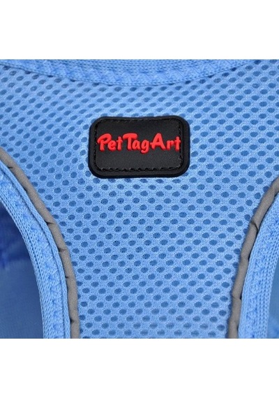 Pettagart Airmesh Mavi Göğüs Tasması Turuncu