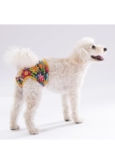 Pawstar Karışık Çiçekli Kedi Köpek Çamaşırı Regl Kilodu 3'lü