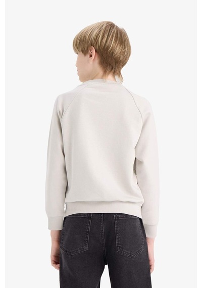 Defacto Erkek Çocuk Bisiklet Yaka Basic Düz Sweatshirt E8415a825augr94 Gri