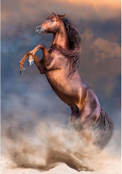 Clementoni 35521 Wild Red Stallion 500 Parça Puzzle