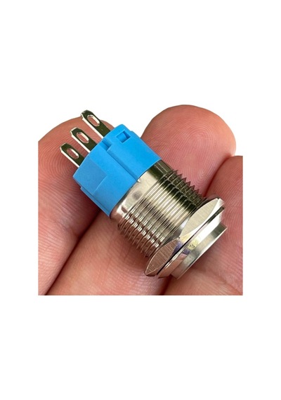 D21 16mm Metal Mavi Halka Ledli Kalıcı Buton 24v
