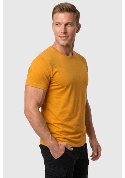 Rizzup Erkek Hardal Sarısı Slim Fit %90 Pamuk Likralı Yumuşak Dokulu Basic Tişört 1801131