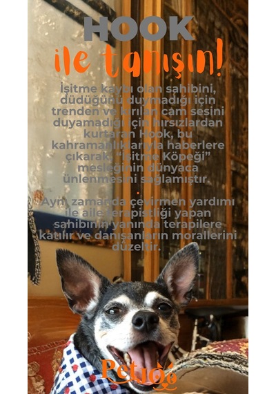 Petjoo 7.Hook Turuncu-Gri Qr'lı Köpek Künyesi