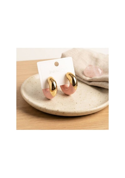 316l Çelik Gold Renk Pembe Halka Model Kadın Küpe Tj-bkp12032 Evimdeyokyok