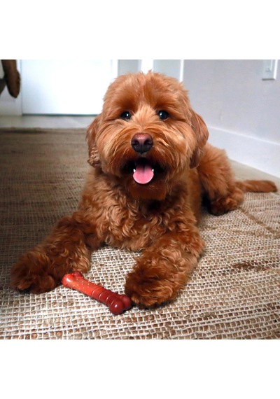 Dokulu Dura Chew Sığır Eti Jerky-power-chew Son Derece Güçlü Çiğneme Köpekler İçin Çiğneme Kemiği B